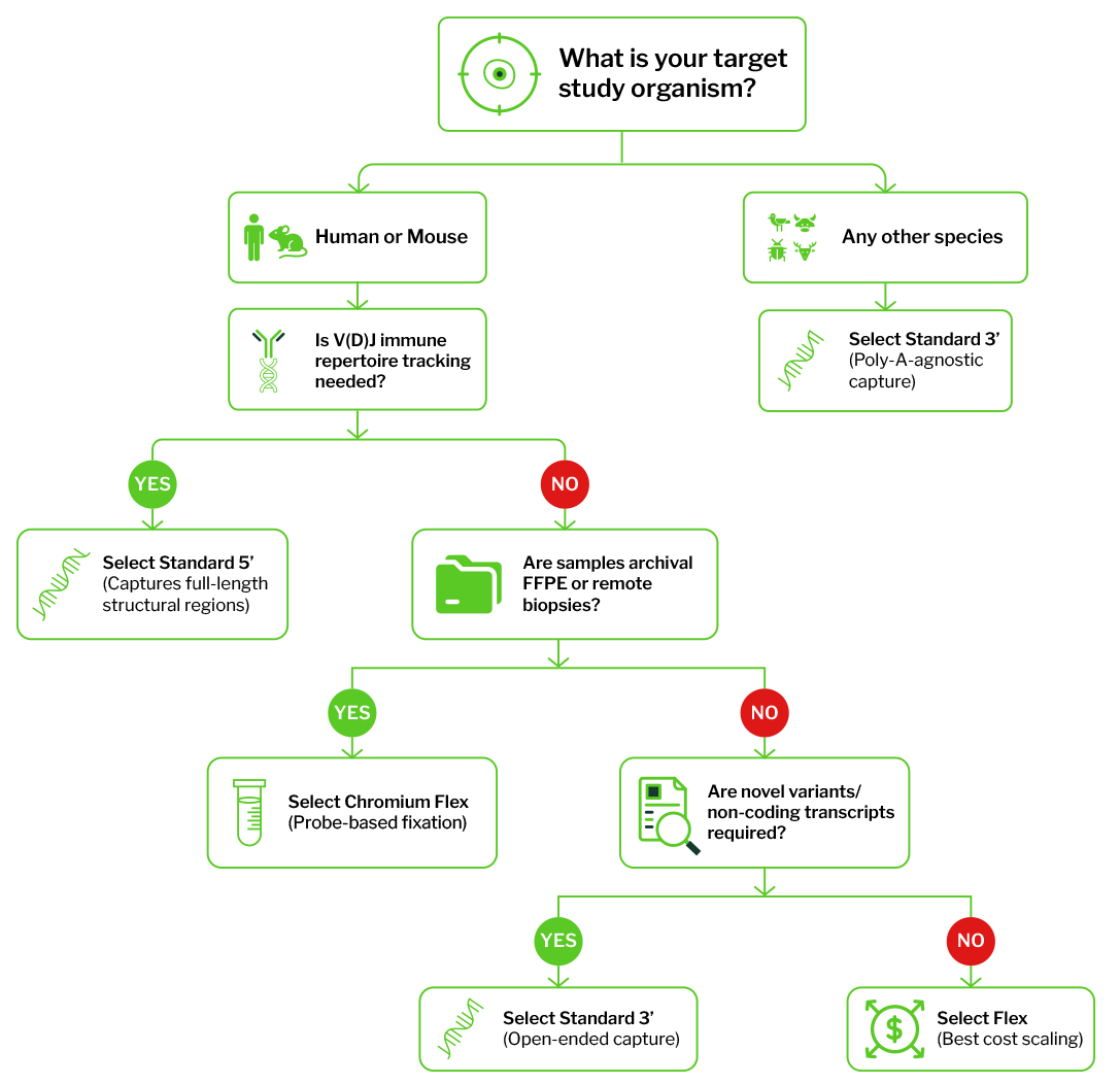The Architectural Decision Tree