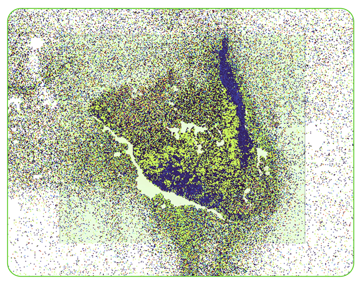 Tissue Plot with 8 µm Bins Colored by Graph-based Clustering