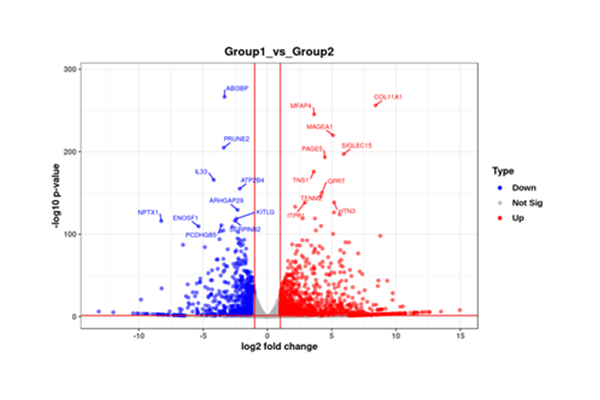 Expression Heatmaps & Volcano Plots