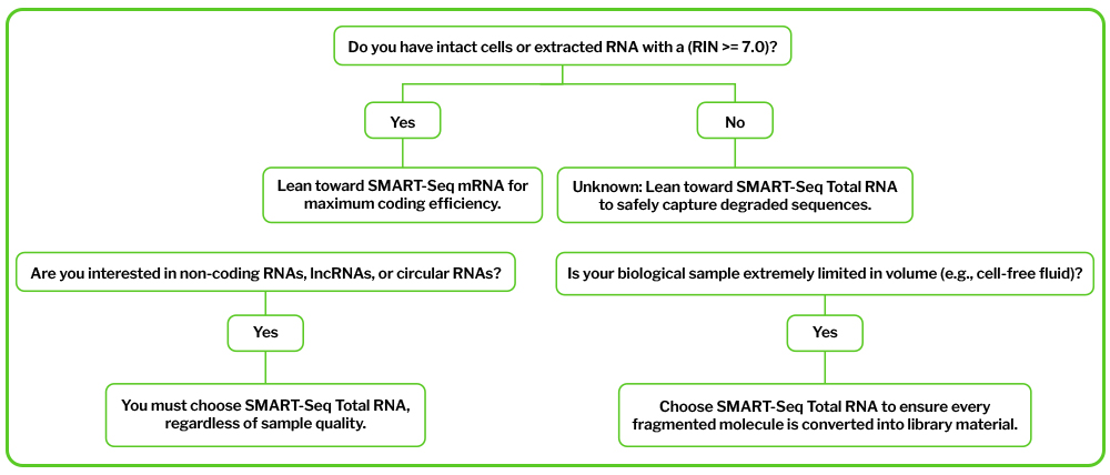 Final decision checklist