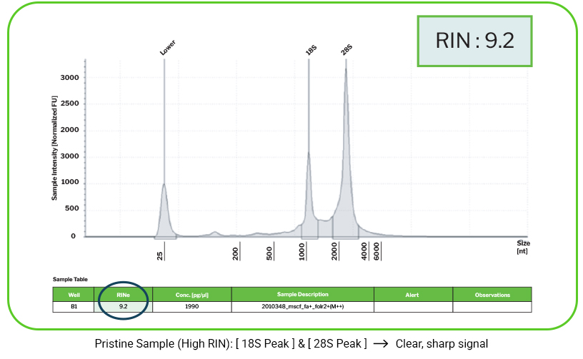 pristine sample high RIN
