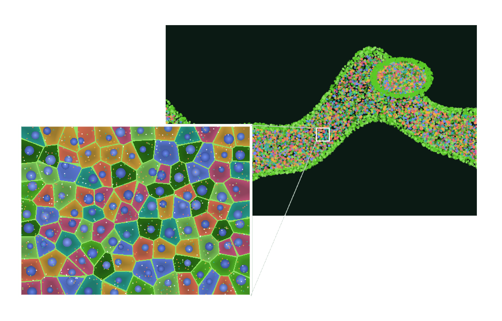 10x genomics xenium in situ spatial service