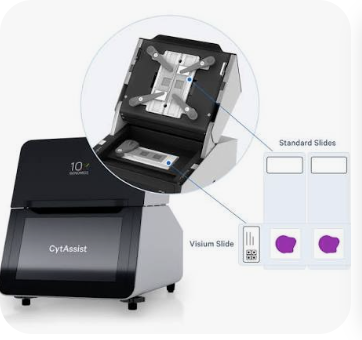 Visium CytAssist